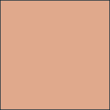 LEE100 81A+CC075 Red Standard Resin Filter