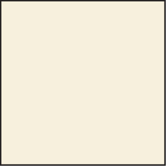 LEE100 81A Standard Resin Filter