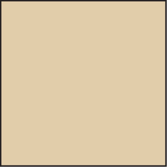 LEE100 81D Standard Resin Filter