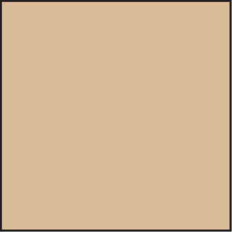 LEE100 81EF Standard Resin Filter