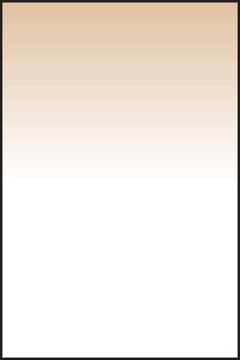 LEE100 Chocolate 1 Grad Hard