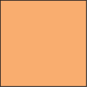 LEE100 Coral 12 Standard Filter