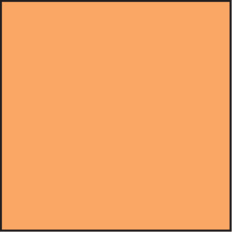LEE100 Coral 13 Standard Filter