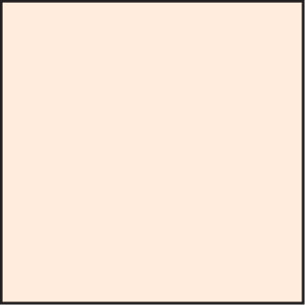 LEE100 Coral 2 Standard Filter