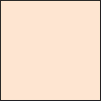 LEE100 Coral 3 Standard Filter