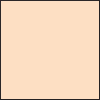 LEE100 Coral 4 Standard Filter