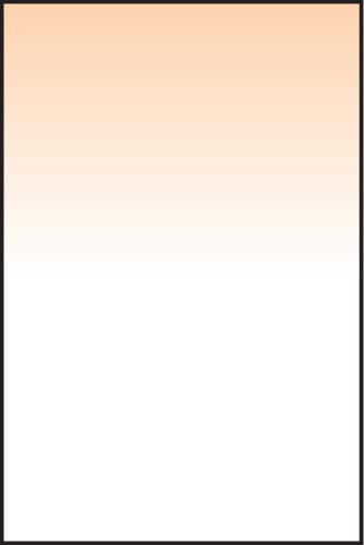 LEE100 Coral 6 Graduated Filter