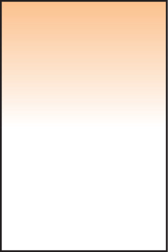 LEE100 Coral 9 Graduated Filter