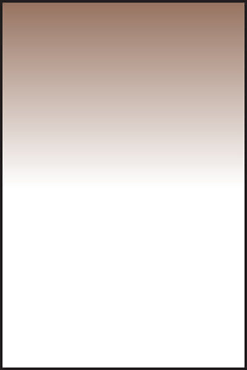 LEE100 Sepia 2 Resin Filter