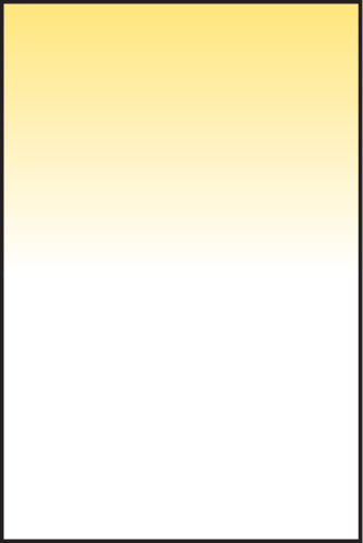 LEE100 Straw 3 Resin Filters