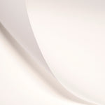 LEE 216 White Diffusion Lighting Gel