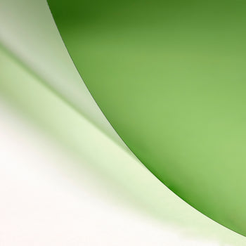 LEE 245 Half Plus Green Lighting Gel