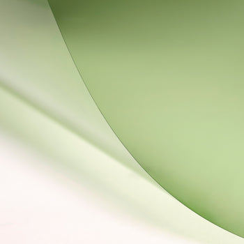 LEE 246 Quarter Plus Green Lighting Gel