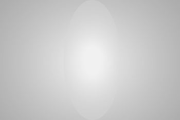 LEE 430 Grid Cloth Diffusion