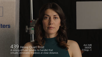 LEE 439 Heavy Quiet Frost Diffusion Gel