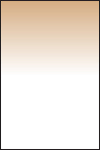 LEE100 Chocolate 2 Graduated Resin Filter