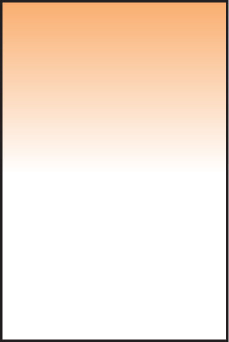 LEE100 Coral 12 Graduated Filter