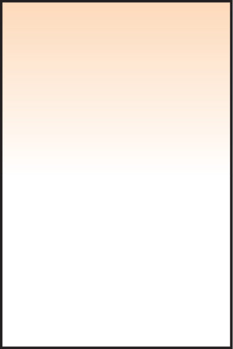 LEE100 Coral 5 Graduated Filter