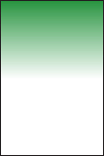 LEE100 Pop Green Resin Filter