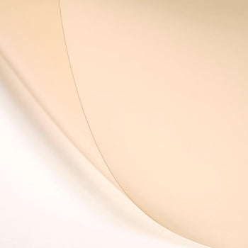 LEE Filters Eighth CTO CT Orange Photo - LEE Filters Direct UK