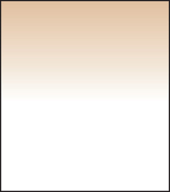 SW150 Chocolate 1 Grad Soft