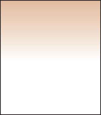 SW150 Tobacco 1 Grad Soft