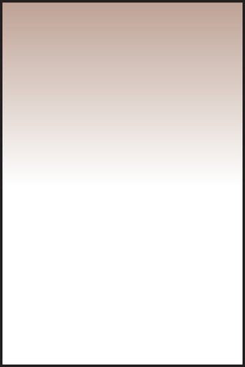 LEE100 Sepia 1 Resin Filter