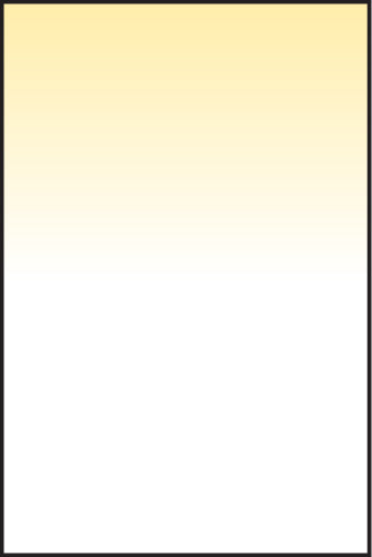 LEE100 Straw 2 Resin Filters