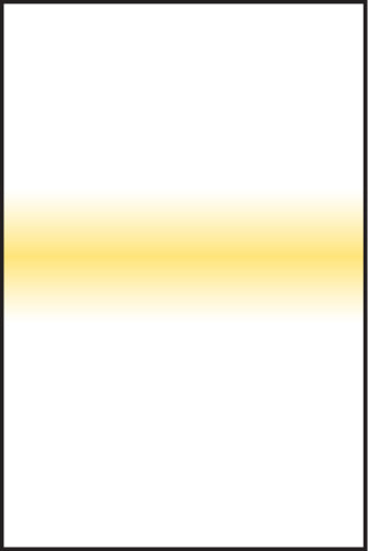 LEE100 Straw Stripe Resin Filter