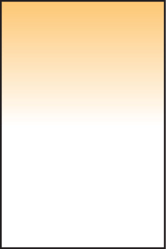 LEE100 Sunset Orange Graduation Filter