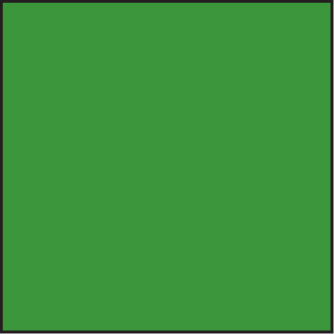 LEE100 No.11 Yellowish Green Resin Filter for Black & White Photography