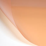 LEE Filters 807 Zircon Warm Amber 4 Filter Sheet Colour Photo