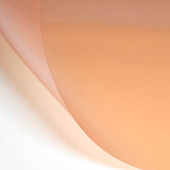 LEE Filters 807 Zircon Warm Amber 4 Filter Sheet Colour Photo