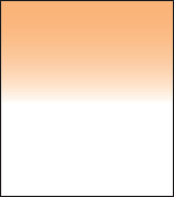 SW150 Coral 11 Grad Hard