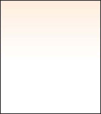 SW150 Coral 2 Grad Soft