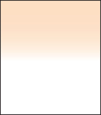 SW150 Coral 4 Grad Hard