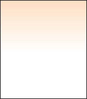 SW150 Coral 4 Grad Soft