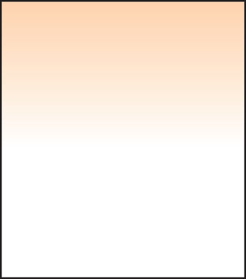 SW150 Coral 6 Grad Soft