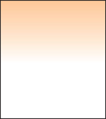 SW150 Coral 8 Grad Soft