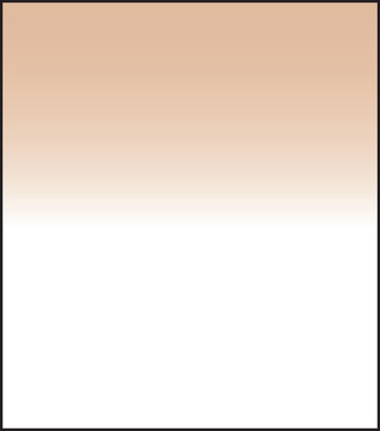 SW150 Tobacco 1 Grad Hard