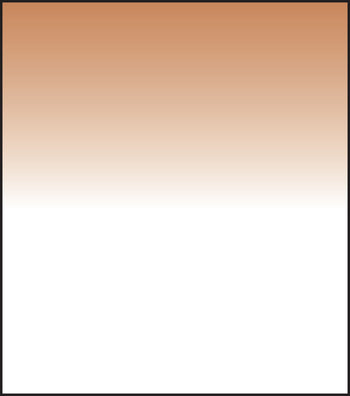 SW150 Tobacco 2 Grad Soft